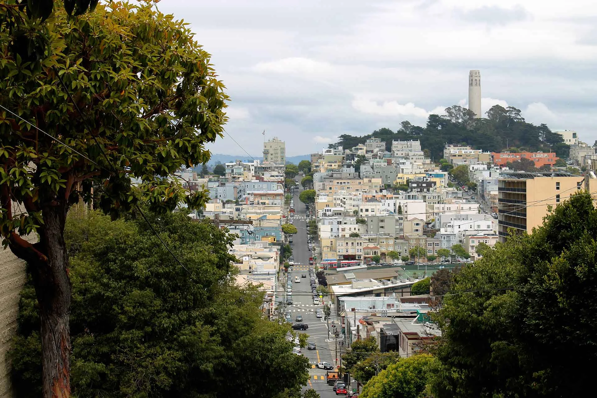 Find Housing as a Student in the USA Find Housing as a Student in the USA